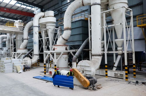 它經(jīng)濟(jì) 觀察 中國貓砂展現(xiàn) 科技范 綠色風(fēng)